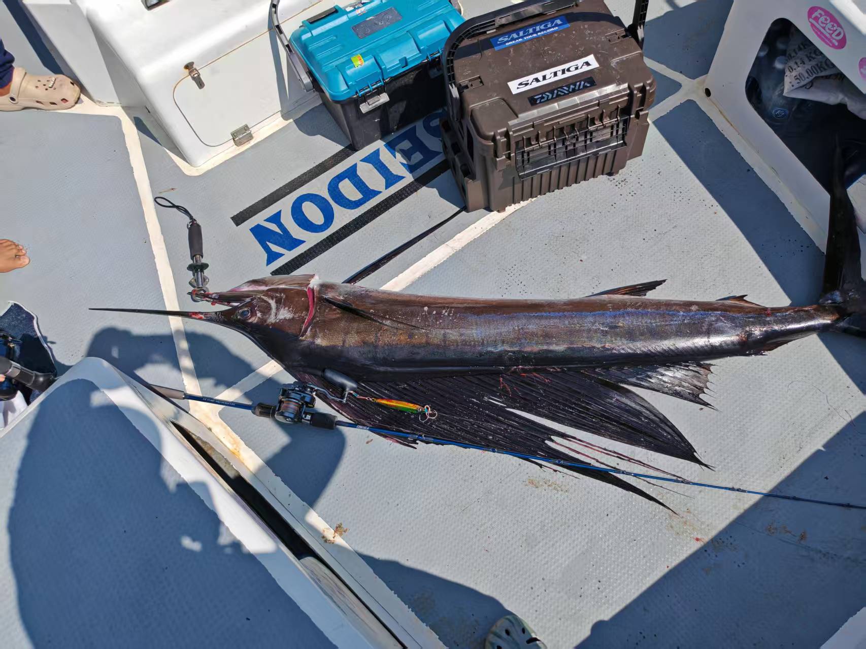 Leviathan Series photo 3